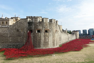 “Blood Swept Lands and Seas of Red” (Kan Dökülmüş Topraklar ve Kırmızının Denizleri)