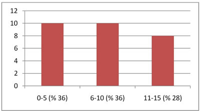 <p><strong>Tablo 11.</strong> Seçmeli ders kota aralıkları<strong> </strong></p>