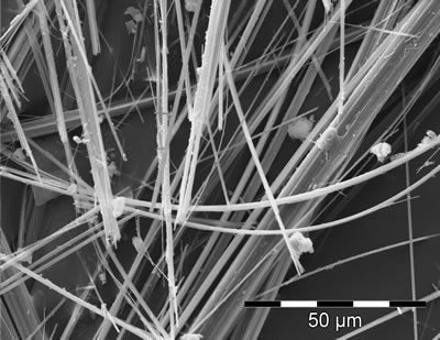 <p><strong>1. </strong>Tarayıcı elektron  mikroskobunda (SEM) elde edilmiş asbest görüntüsü.</p>