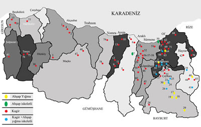 <p><strong> 1. </strong>Trabzon  kırsalındaki camilerden örnekler</p>