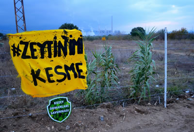 <p>Zeytin ağaçlarının termik  santral inşaatı için kesilmesine engel olmak isteyen Yırca köylülerinin  direnişinden. Arkada görülen ise halihazırdaki termik santral yapısı.<br />   Kaynak: Kuzey Ormanları  Savunması</p>