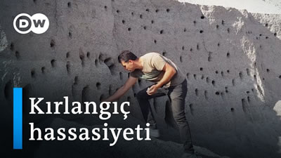 <p><strong>1. </strong>Deutsche  Welle’nin “Kırlangıç Hassasiyeti” başlıklı haber videosunun  önizleme görseli<strong></strong><br />Kaynak: https://i.ytimg.com/vi/74lT8BImSMc/maxresdefault.jpg