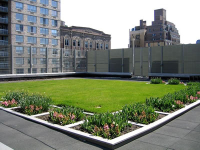 <p><strong>1.</strong> Okul yapısında yeşil çatı  kullanımı (Calhoun School Green Roof Learning Center)<br />(Kaynak:URL1.)</p>