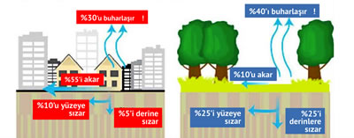 <p>Yağışlar beton ve asfalt kaplı  kentlerde neden su baskınına dönüşüyor?<br />Kaynak: www.350ankara.org