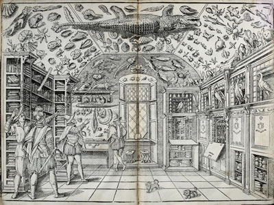<p><strong>2.</strong> Nadire kabinesinin basılı ilk görsel temsili. Ferrante  Imperato, Dell Historia Naturale, 1599. <br />Kaynak: Biodiversity Heritage Library açık arşivi, https://www.biodiversitylibrary.org/page/47563651#page/13/mode/1up