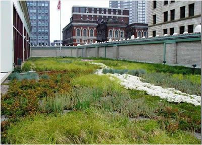 <p><strong>2.</strong> Yeşil çatıdan bir görünüm<br />(Kaynak: Green Roofs- Cooling Los Angeles, 2006,)</p>