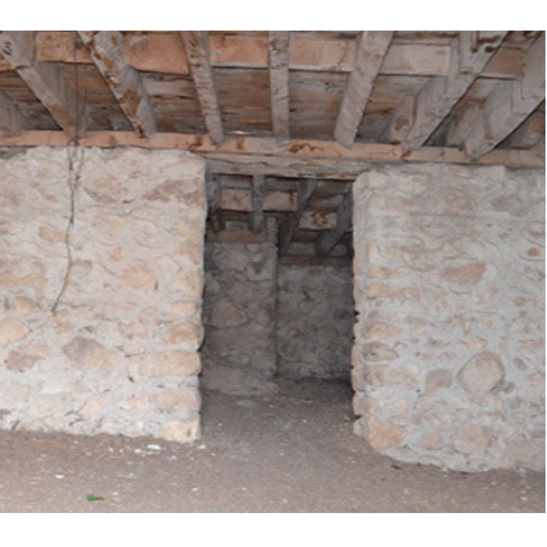 25. Bodrum fotoğrafı