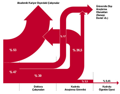 <p><strong>3.</strong> İngiltere de lisans mezunlarının kariyer akışı</p>