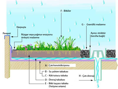 <p><strong>3.</strong> Yeşil Çatı katmanları<br />(Kaynak: Thomas ve Thomas, 2003)</p>
