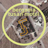 3. Bergama Tusan Motel, hava fotoğrafı kullanılarak düzenlenmiş kroki, Eylül 2009<br>© Google Earth, 