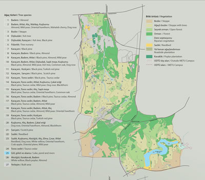 <p><strong>4.</strong> ODTÜ Kampüsü ağaç türleri ve bitki örtüsü haritası<br />   Kaynak: Doğa Koruma Merkezi</p>