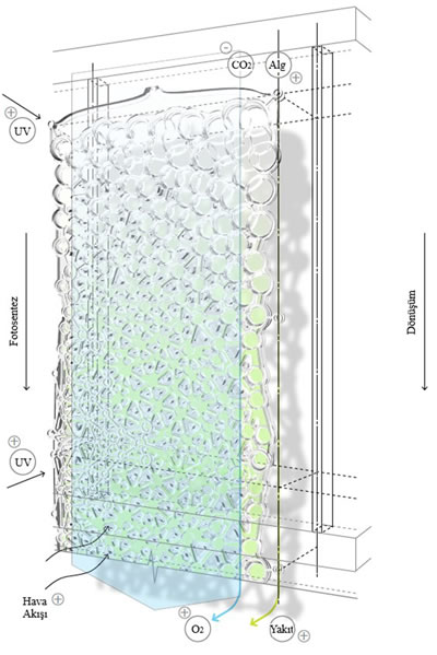 <p><strong>5.</strong> Alg dokuması<br />   Kaynak: Petra, Bogias, 2014, “Algae Textile: A  Lightweight Photobioreactor for Urban Buildings”, yayımlanmamış yüksek lisans  tezi, Waterloo Üniversitesi.</p>