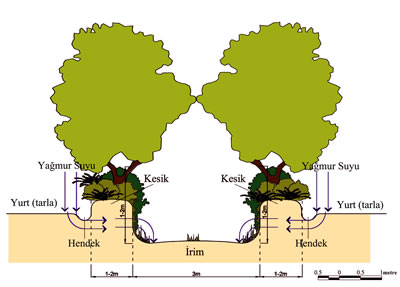 <p><strong>5.</strong> İrim ve kesik kesiti</p>