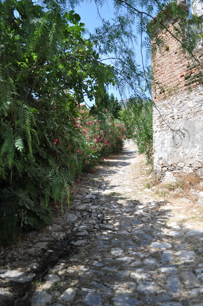 <p>Fotoğraf: Mine Aşcı</p>