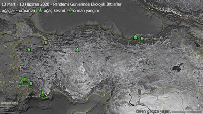 <p><strong>6.</strong> Ağaç ve ormanlara ilişkin yaşanan  ihtilafların dağılımı</p>