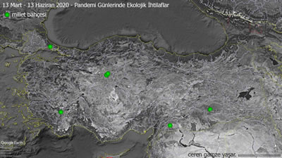 <p><strong>7.</strong> Millet bahçelerine ilişkin yaşanan  ihtilafların dağılımı</p>