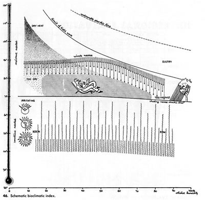 8. 1960’lar mimarlık kültüründe tasarıma “bio-klimatik” yaklaşım <br />[Kaynak: Olgyay, 1963]