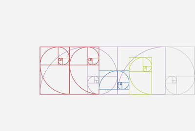 <p><strong>Diyagram  2.3.</strong> Kuzey cephesi  tüm formlar</p>